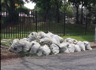 In Our Parents Name Foundation Launches Food Gardens Programme