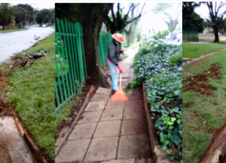 Clean Village Keeping Kensington Clean