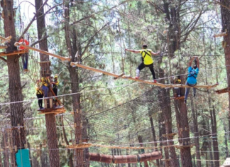 Go On An Adventure At GoApe Modderfontein