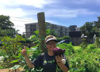 Buy Organic Veg And Support Food Outreach Through FoodXChange Urban Farming Initiative Urban Farming Network Is Set Up At The Italian Club