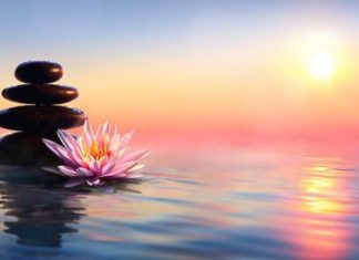 Join The Still Mind Weekly Meditation