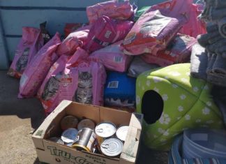 Community And Organisations Assist Germiston Bedfordview SPCA Following Robbery