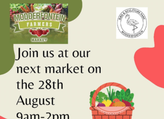 Upcoming Markets To Look Forward To