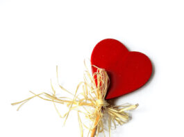 Using Connection To Align To The Next Level Of Your Abundance