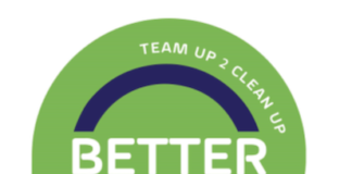 Invitation To A Public Better Bedfordview Meeting
