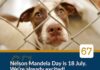 Join the Bedfordview SPCA To Celebrate Mandela Day And Make A Difference