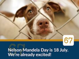 Join the Bedfordview SPCA To Celebrate Mandela Day And Make A Difference