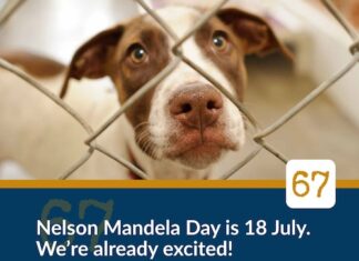 Join the Bedfordview SPCA To Celebrate Mandela Day And Make A Difference