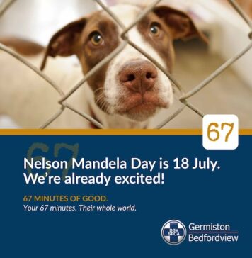 Join the Bedfordview SPCA To Celebrate Mandela Day And Make A Difference